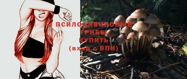 a pvp Нея